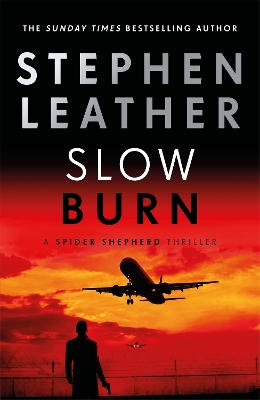 Book cover for Slow Burn