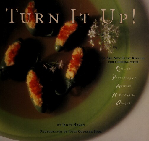 Book cover for Turn it Up!