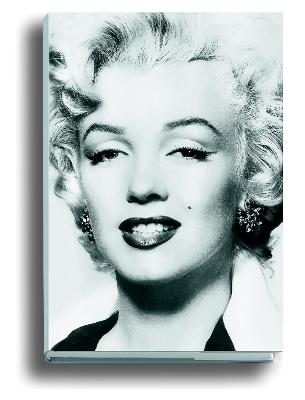 Book cover for Silver Marilyn