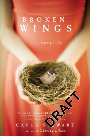 Cover of Broken Wings