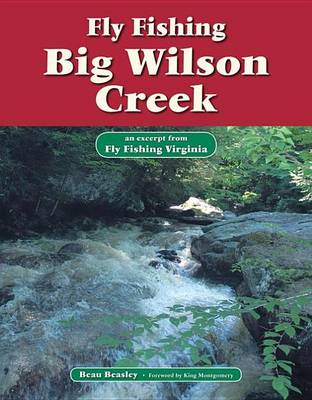 Book cover for Fly Fishing Big Wilson Creek