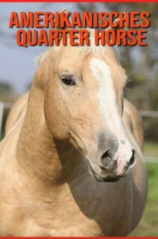 Cover of Amerikanisches Quarter Horse