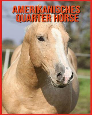 Book cover for Amerikanisches Quarter Horse