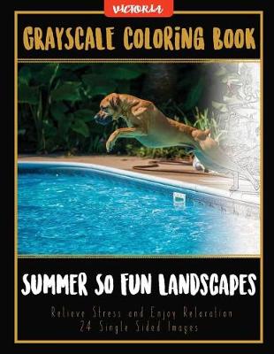 Book cover for Summer So Fun Landscapes