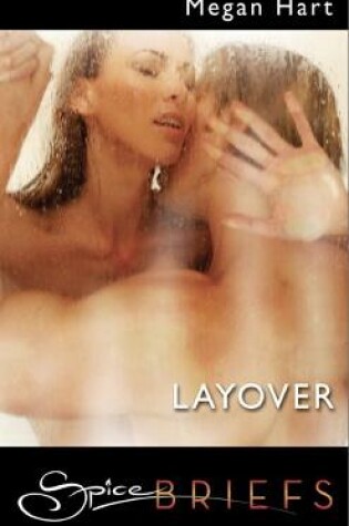 Cover of Layover