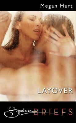 Book cover for Layover