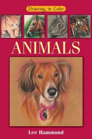 Cover of Drawing in Color - Animals