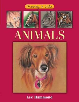 Book cover for Drawing in Color - Animals