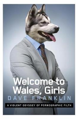 Book cover for Welcome to Wales, Girls