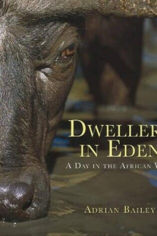 Cover of Dwellers in Eden