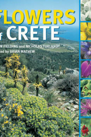 Cover of Flowers of Crete