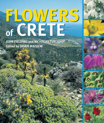 Book cover for Flowers of Crete