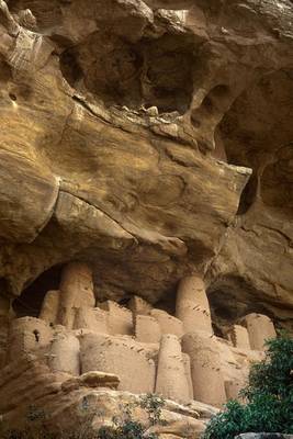 Book cover for Dogon Village in Tireli Mali Africa Journal