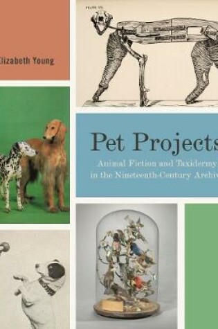 Cover of Pet Projects