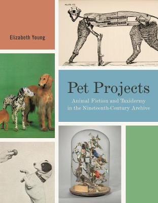 Book cover for Pet Projects