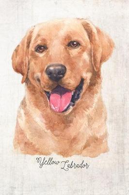 Book cover for Yellow Labrador Dog Portrait Notebook