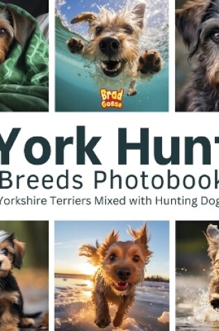 Cover of York Hunt Breeds Photobook