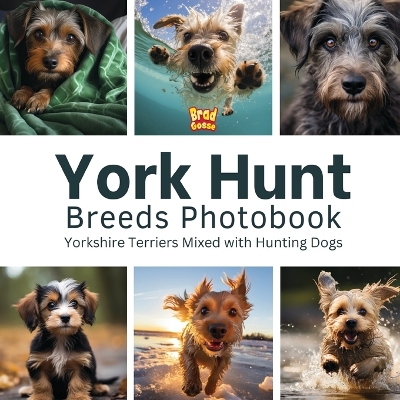Book cover for York Hunt Breeds Photobook
