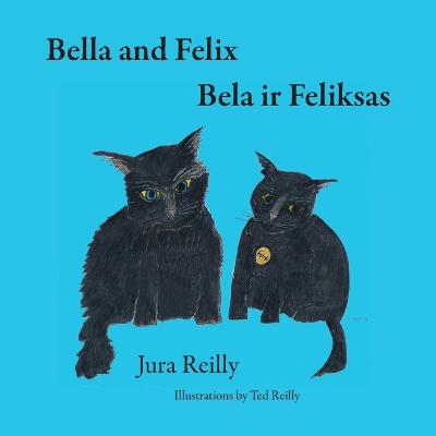 Book cover for Bella and Felix