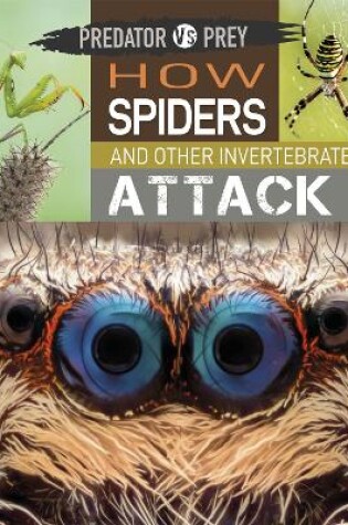 Cover of Predator vs Prey: How Spiders and other Invertebrates Attack