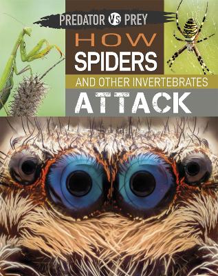 Cover of Predator vs Prey: How Spiders and other Invertebrates Attack