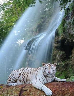 Book cover for Waterfall White Tiger Notebook