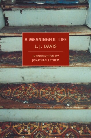 Cover of A Meaningful Life