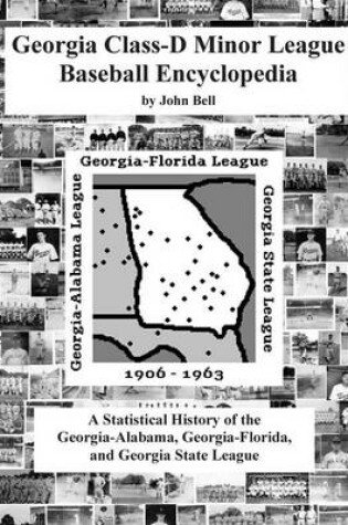 Cover of Georgia Class-D Minor League Baseball Encyclopedia