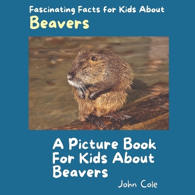 Cover of A Picture Book for Kids About Beavers