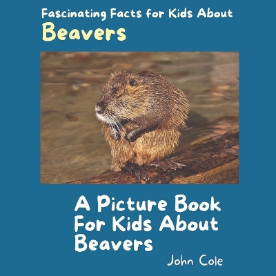 Book cover for A Picture Book for Kids About Beavers