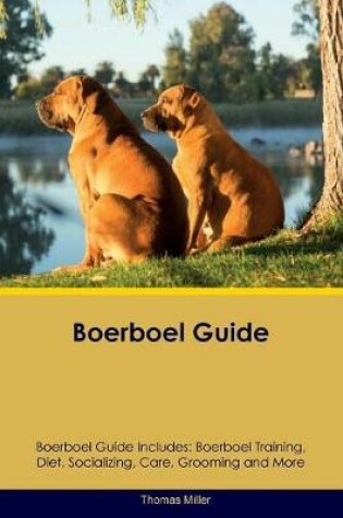 Cover of Boerboel Guide Boerboel Guide Includes