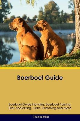 Book cover for Boerboel Guide Boerboel Guide Includes