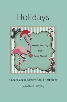 Book cover for Holidays