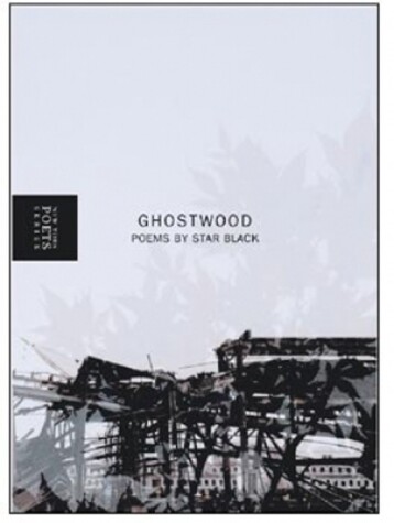 Book cover for Ghostwood