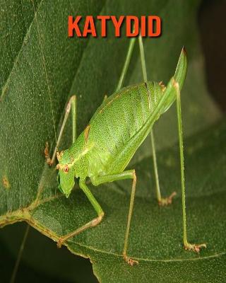 Book cover for Katydid