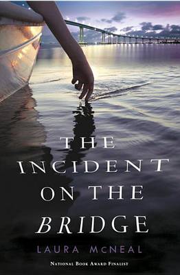 Book cover for The Incident on the Bridge