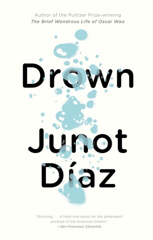 Book cover for Drown