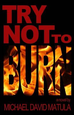 Book cover for Try Not to Burn