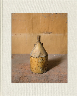 Book cover for Joel Meyerowitz: Morandi's Objects