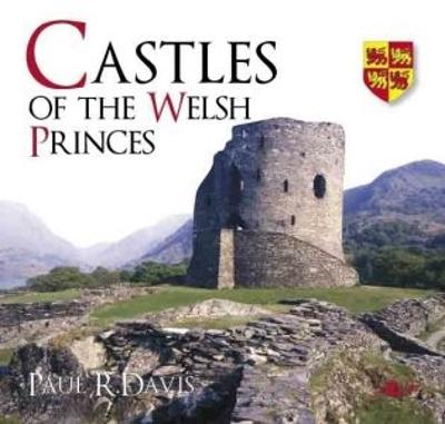 Book cover for Castles of the Welsh Princes