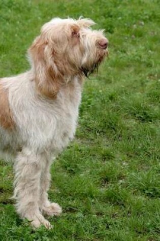 Cover of Spinone Italiano