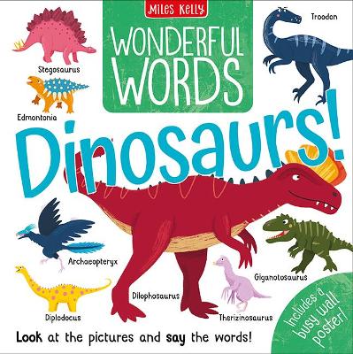 Book cover for Wonderful Words: Dinosaurs!