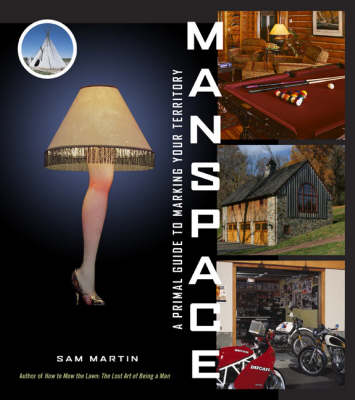 Book cover for Manspace