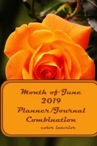 Cover of Month of June 2019 Planner/Journal Combination