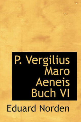 Cover of P. Vergilius Maro Aeneis Buch VI