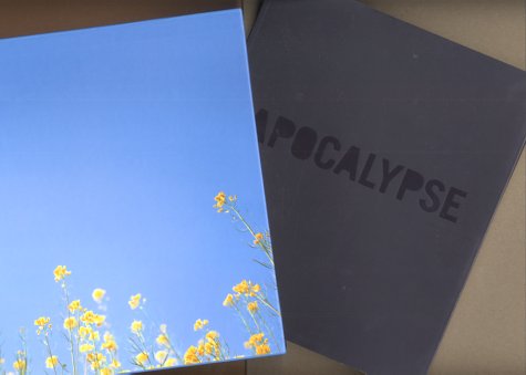 Book cover for Apocalypse