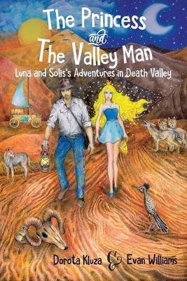 Book cover for The Princess And The Valley Man