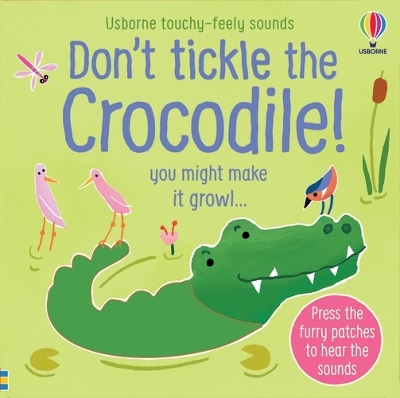 Cover of Don't Tickle the Crocodile!