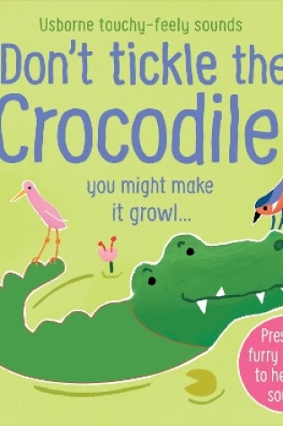 Cover of Don't Tickle the Crocodile!