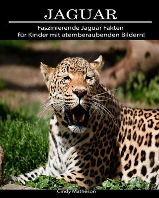 Book cover for Jaguar